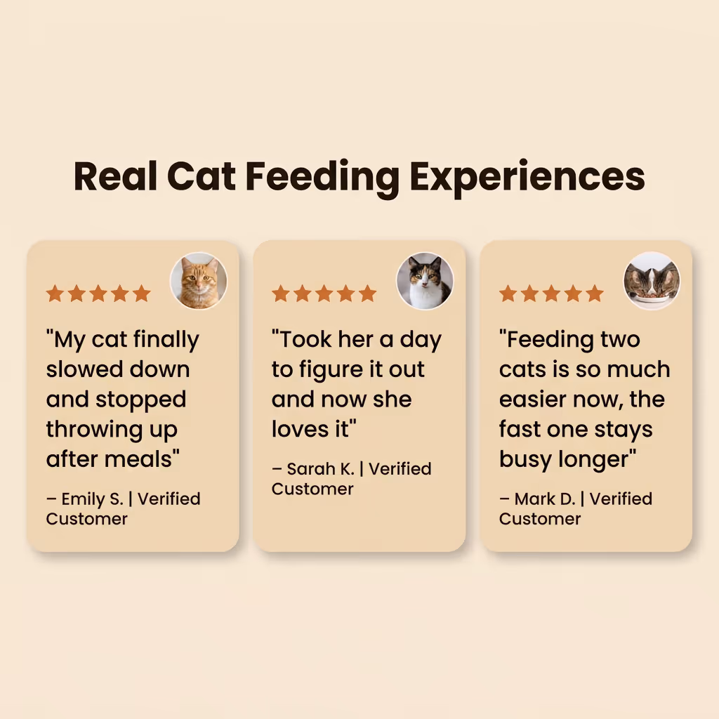 Cat Slow Feeder Bowls — Section 4-3