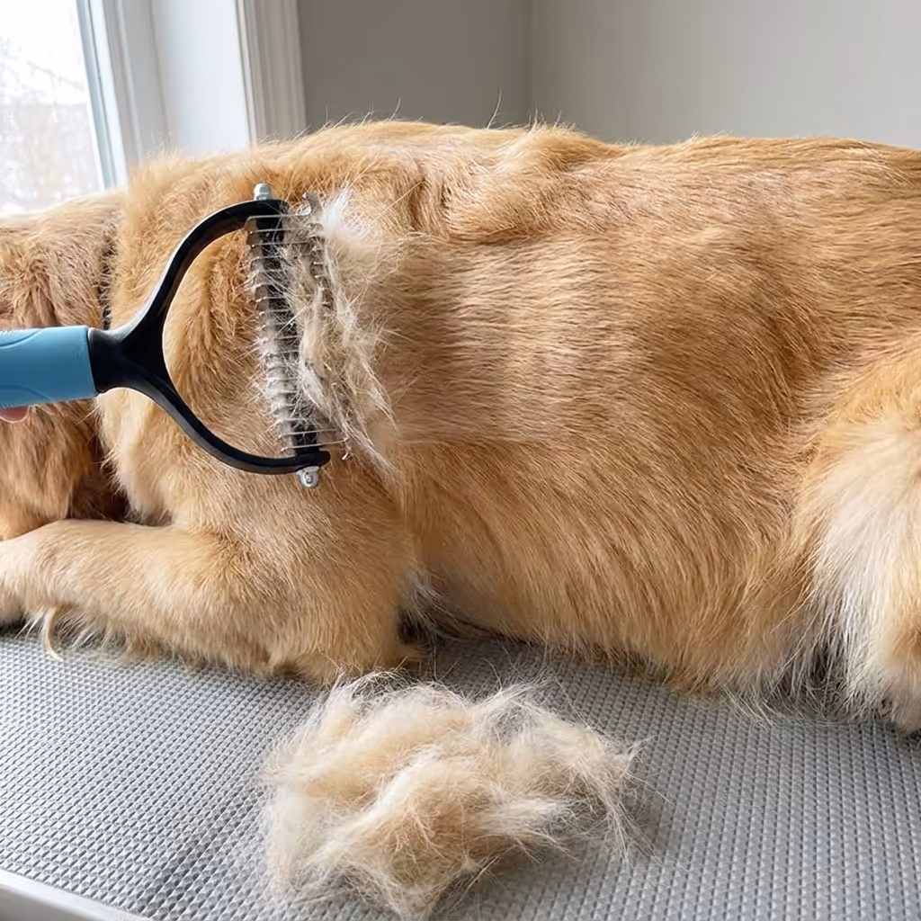 Brush gliding through a dog's thick coat to remove loose fur and tangles