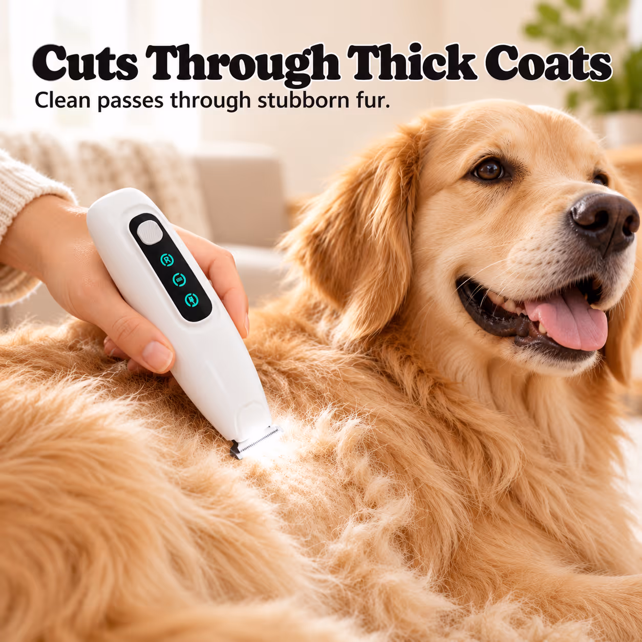 Dog Hair Trimmer — Section 3