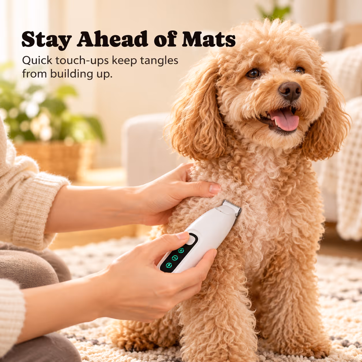 Dog Hair Trimmer — Section 4-1